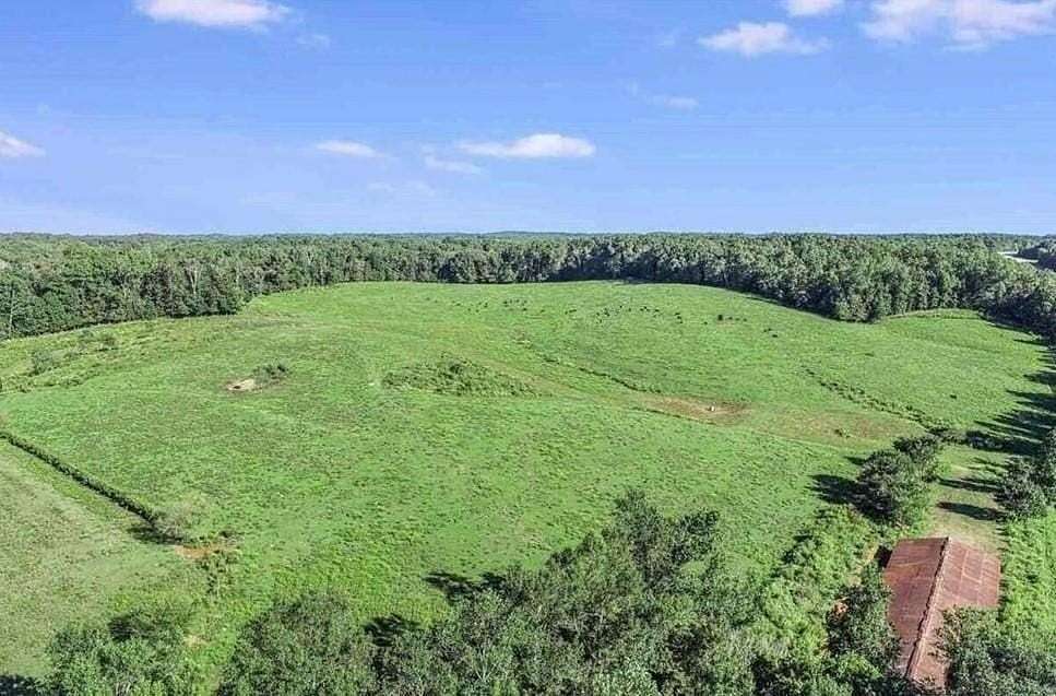 61.9 Acres of Land for Sale in Mount Airy, Georgia