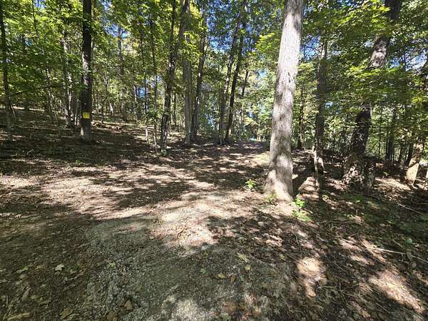 2.6 Acres of Residential Land for Sale in Princeton, Kentucky