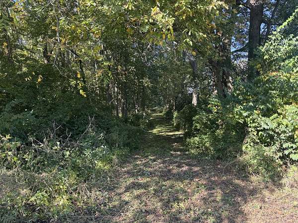5.78 Acres of Residential Land for Sale in Sadorus, Illinois