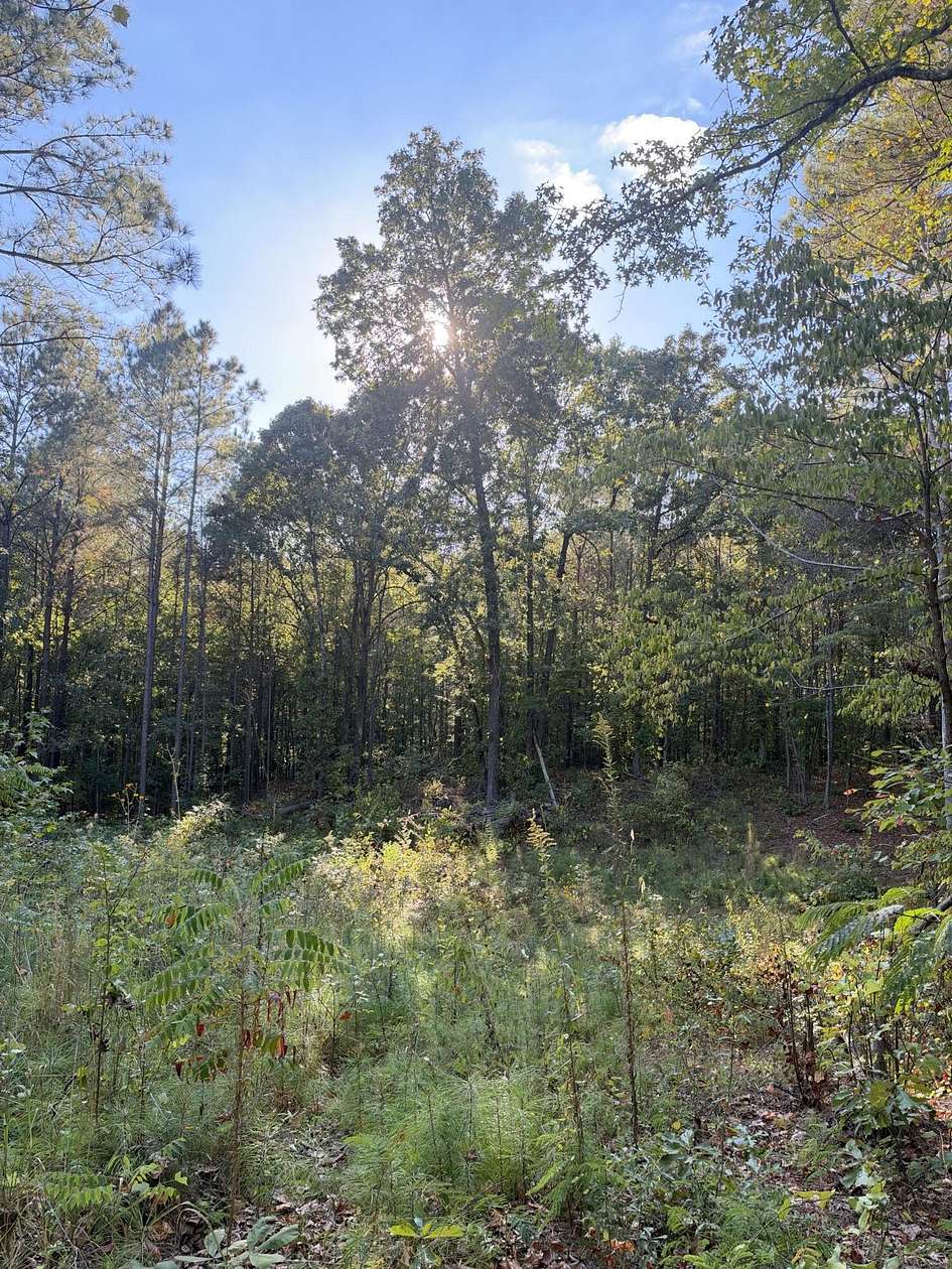 0.43 Acres of Land for Sale in Tupelo, Mississippi