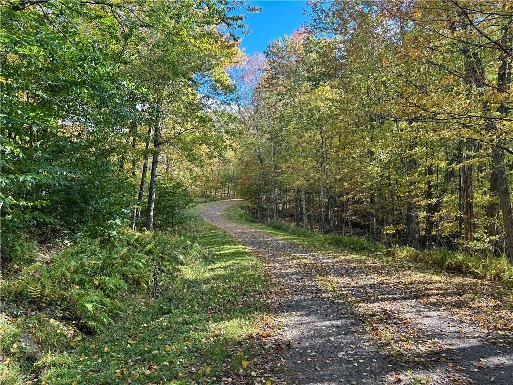 33.1 Acres of Recreational & Residential Land for Sale in Halcottsville, New York