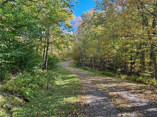 33.1 Acres of Recreational & Residential Land for Sale in Halcottsville, New York
