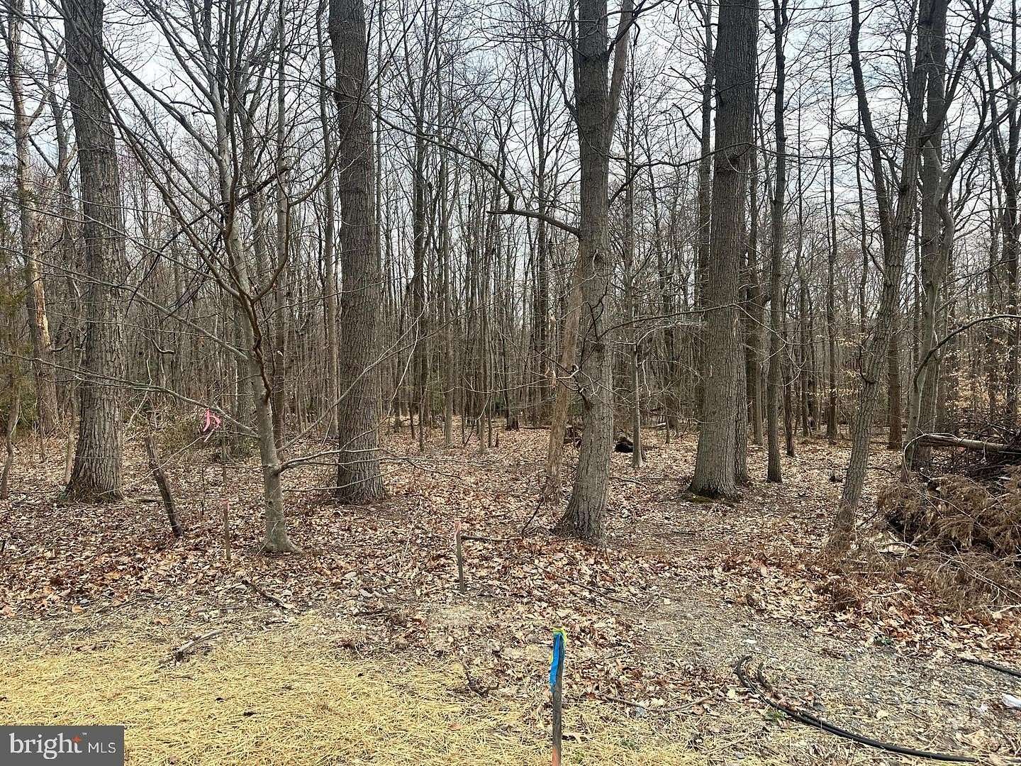 3.8 Acres of Land for Sale in Joppa, Maryland