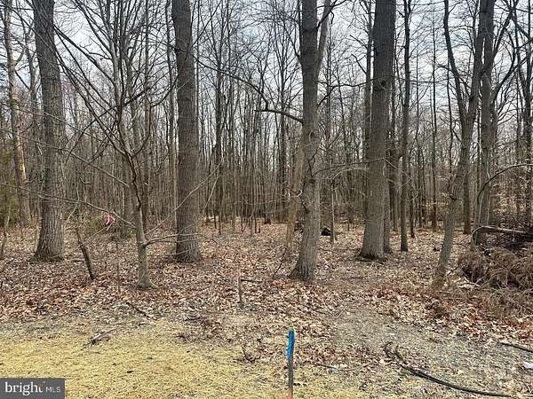 3.8 Acres of Land for Sale in Joppa, Maryland