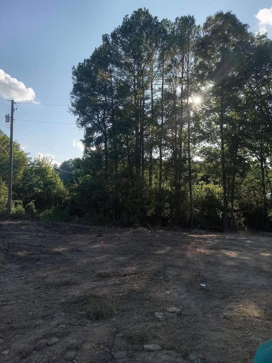 0.9 Acres of Residential Land for Sale in Cordova, Alabama