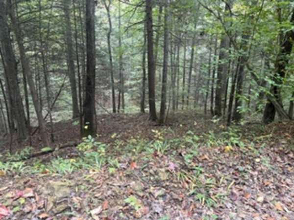 98.5 Acres of Recreational Land for Sale in Hyden, Kentucky