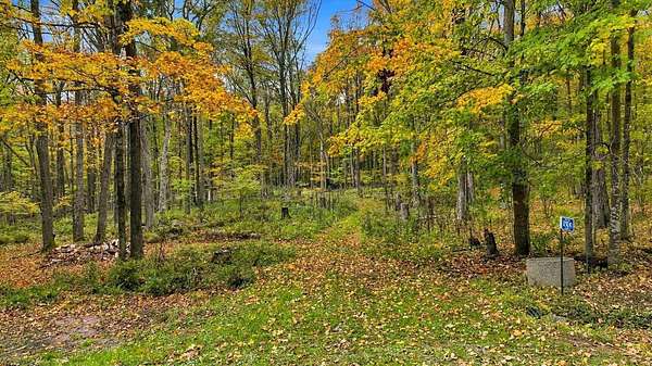 5.12 Acres of Residential Land for Sale in Edgar, Wisconsin