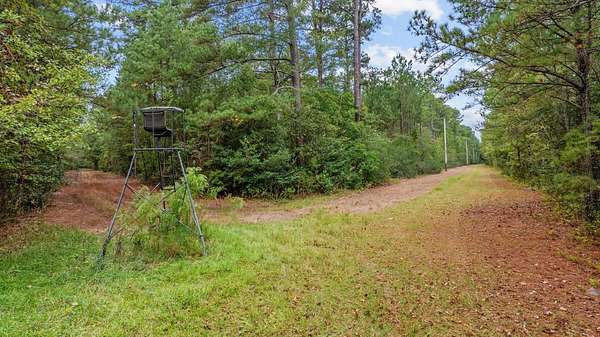 200 Acres of Recreational & Residential Land for Sale in Loris, South Carolina