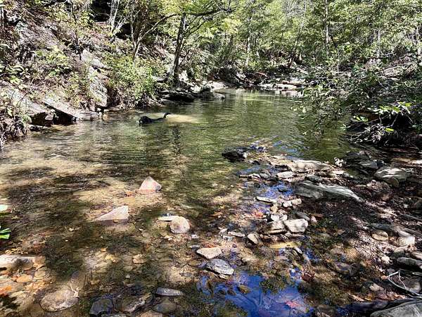 70 Acres of Recreational Land for Sale in Clinton, Arkansas