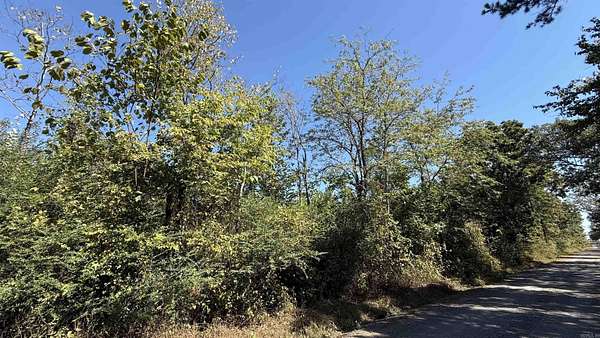 10 Acres of Recreational & Residential Land for Sale in Dennard, Arkansas