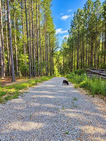 11.2 Acres of Land for Sale in Loudon, Tennessee