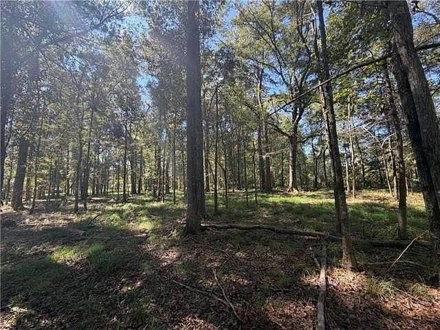 1 Acre of Residential Land for Sale in Hammond, Louisiana