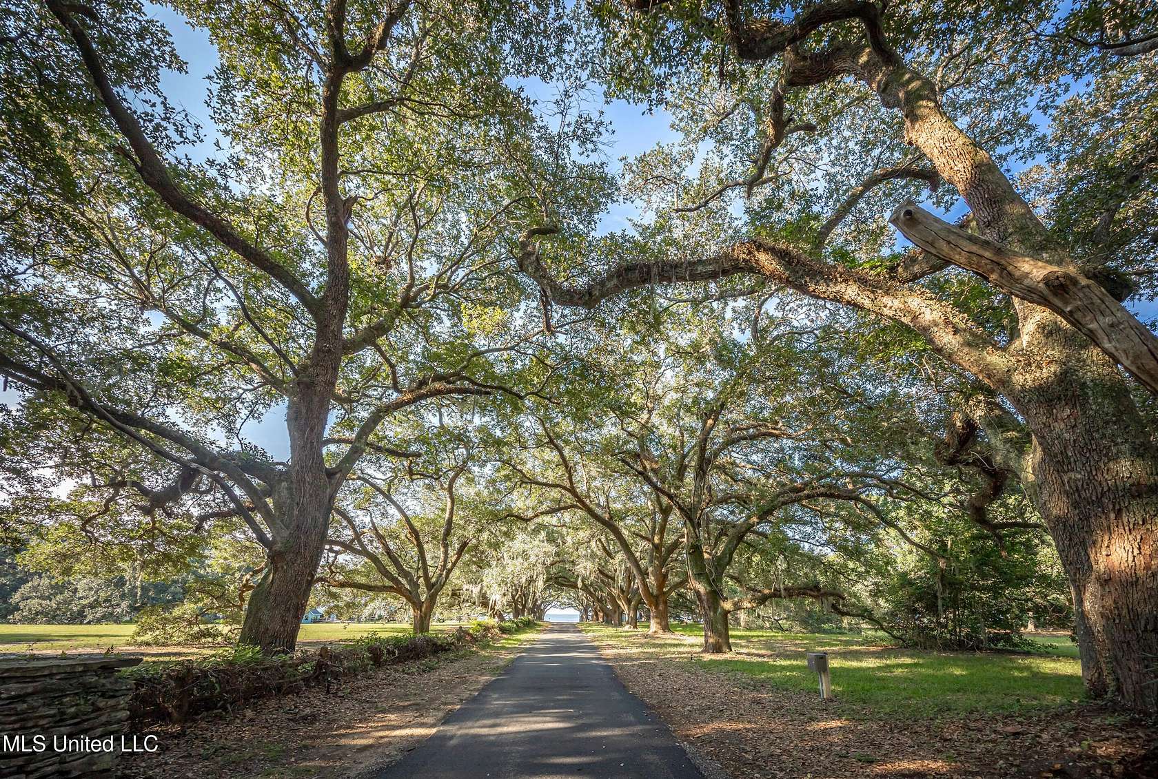 1 Acre of Residential Land for Sale in Ocean Springs, Mississippi