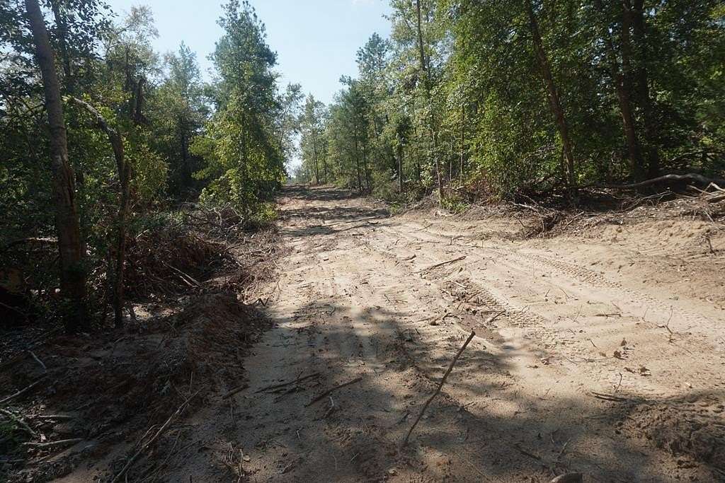 51.7 Acres of Recreational & Residential Land for Sale in Palestine, Texas