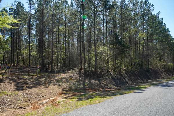 42 Acres of Land for Sale in Choudrant, Louisiana