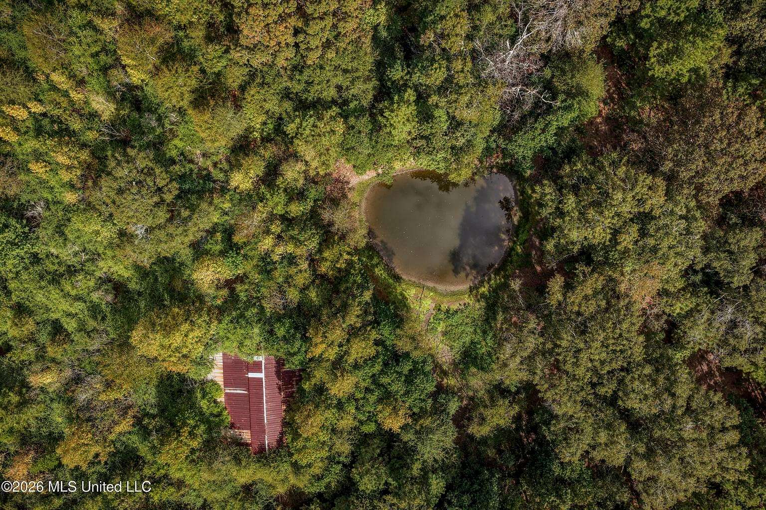 19.7 Acres of Land for Sale in Magnolia, Mississippi