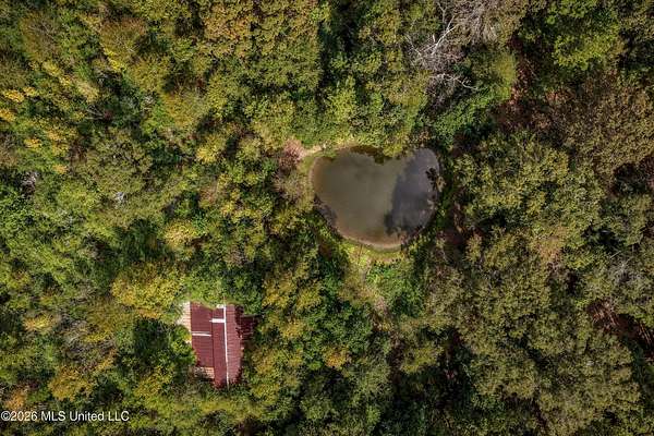 19.7 Acres of Land for Sale in Magnolia, Mississippi