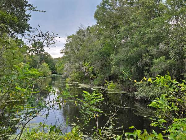 1.25 Acres of Land for Sale in Old Town, Florida
