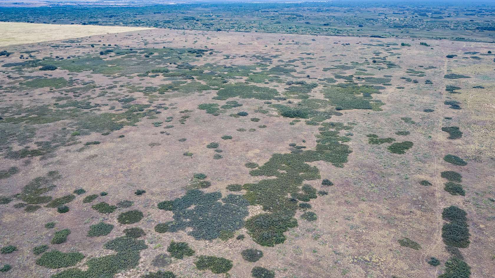 320 Acres of Land for Sale in Turkey, Texas