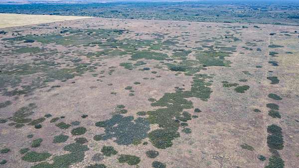 320 Acres of Land for Sale in Turkey, Texas