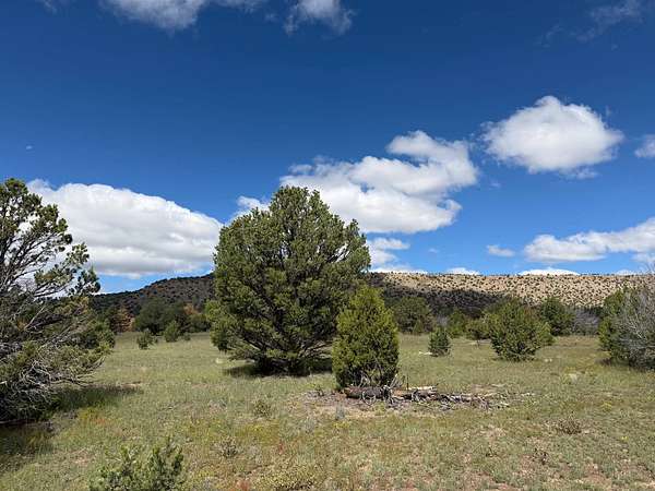 26.1 Acres of Land for Sale in Datil, New Mexico