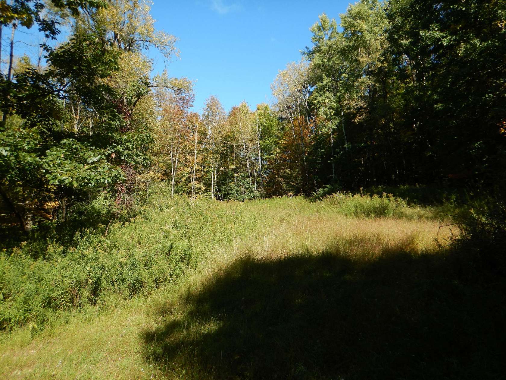 185 Acres of Recreational & Residential Land for Sale in Windsor, New York