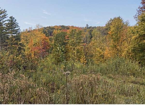 5 Acres of Residential Land for Sale in Richmond, Vermont
