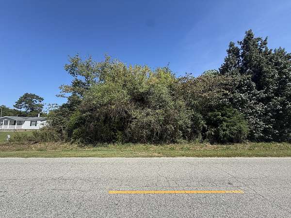 0.74 Acres of Residential Land for Sale in Dillon, South Carolina