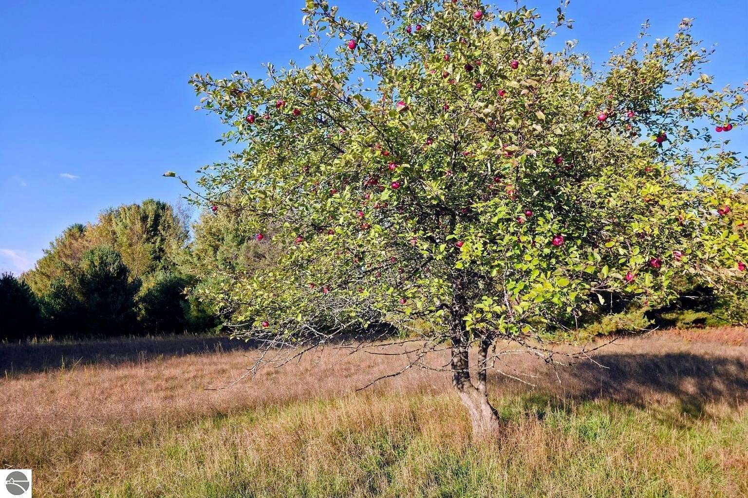 18.9 Acres of Recreational Land for Sale in Interlochen, Michigan