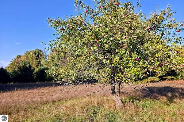 18.9 Acres of Recreational Land for Sale in Interlochen, Michigan