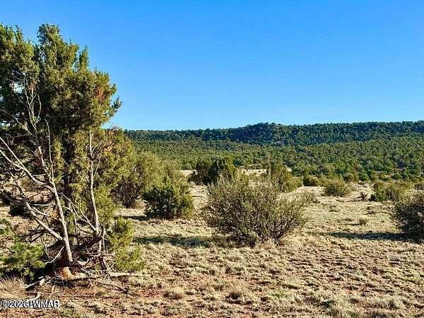 40.2 Acres of Recreational & Residential Land for Sale in Concho, Arizona
