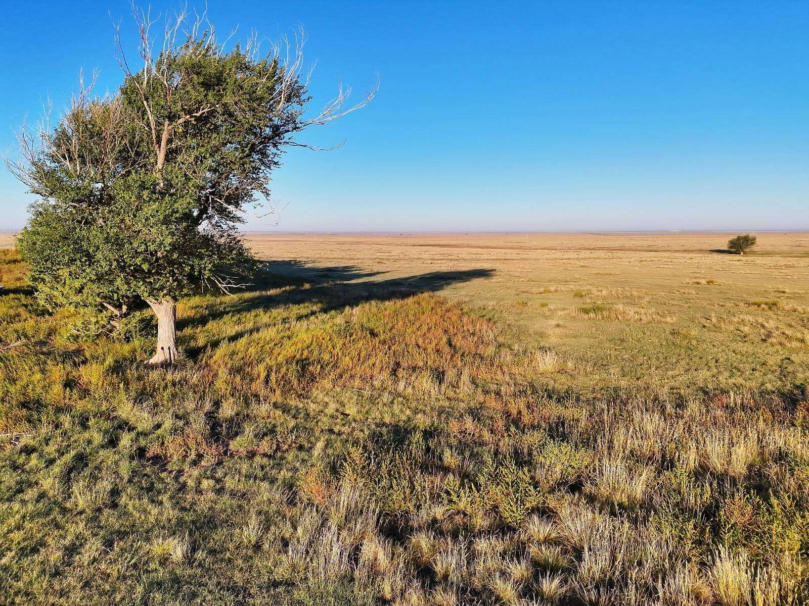 480 Acres of Land for Sale in Hartman, Colorado