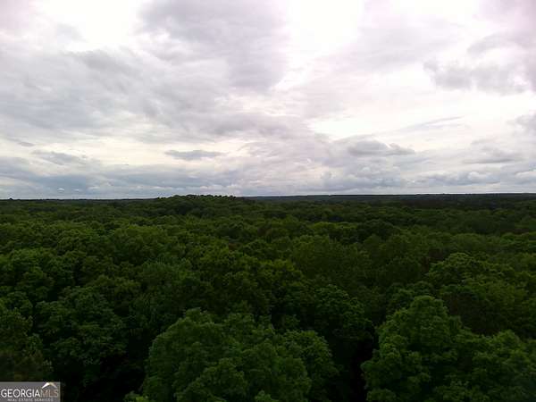 9.34 Acres of Residential Land for Sale in McDonough, Georgia