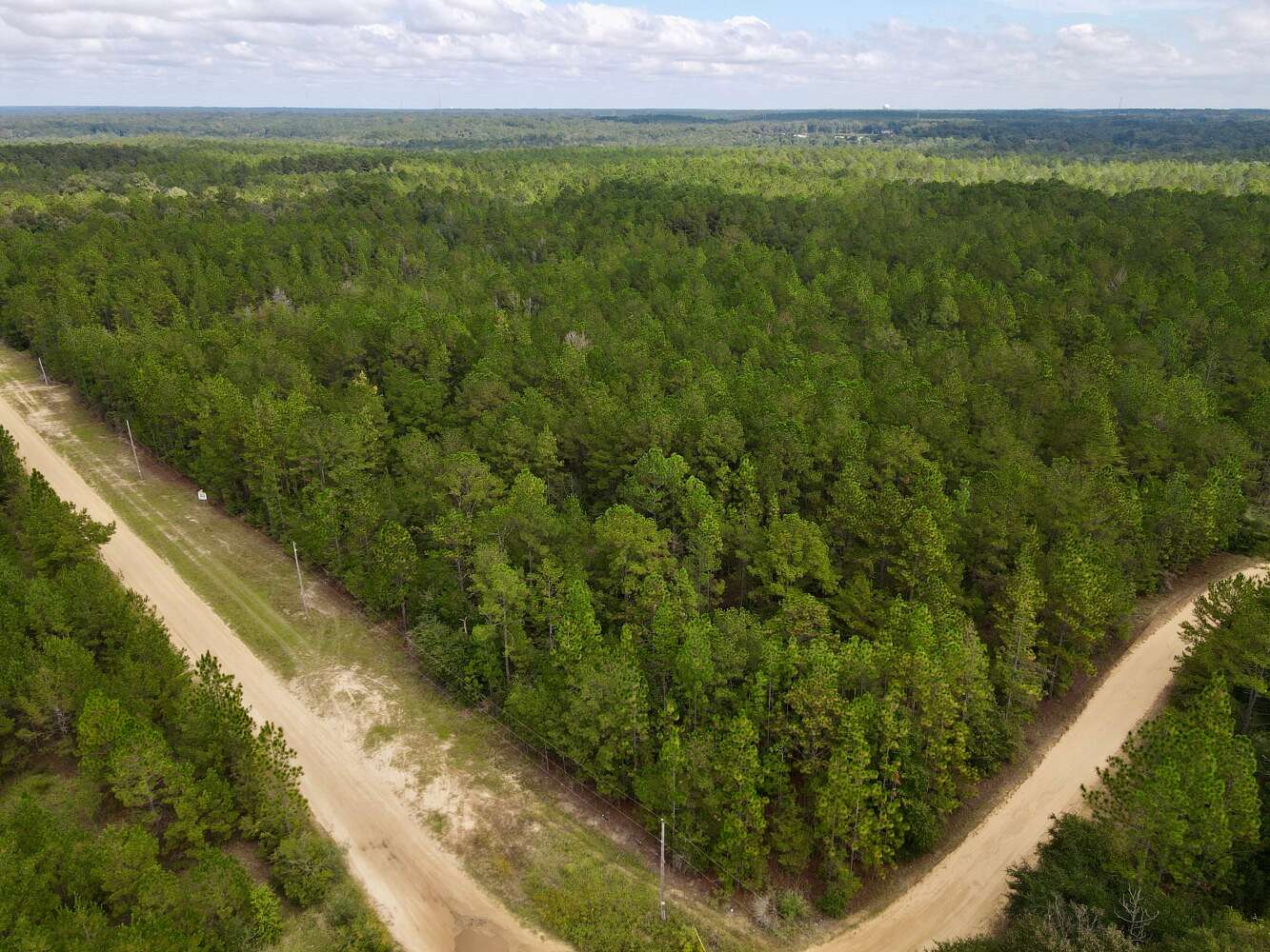 20.3 Acres of Recreational & Residential Land for Sale in Semmes, Alabama