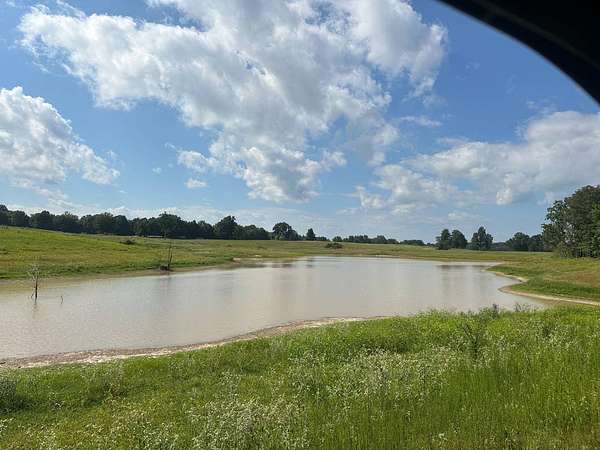 120 Acres of Land for Sale in Piggott, Arkansas