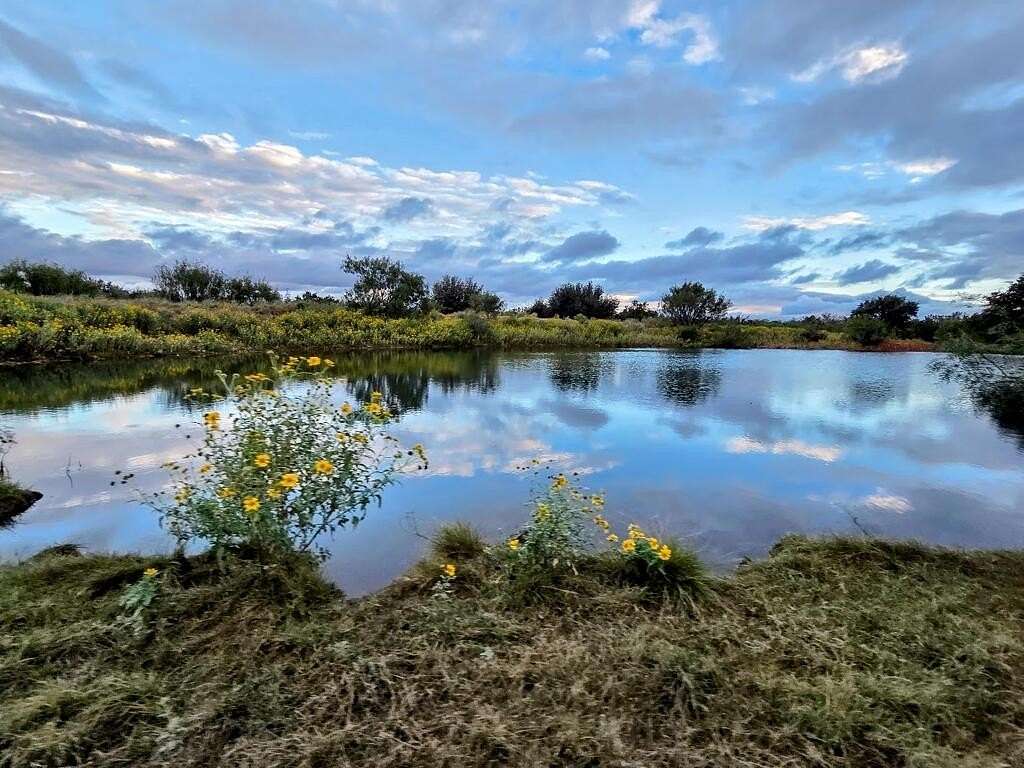 275 Acres of Improved Land for Sale in Telegraph, Texas