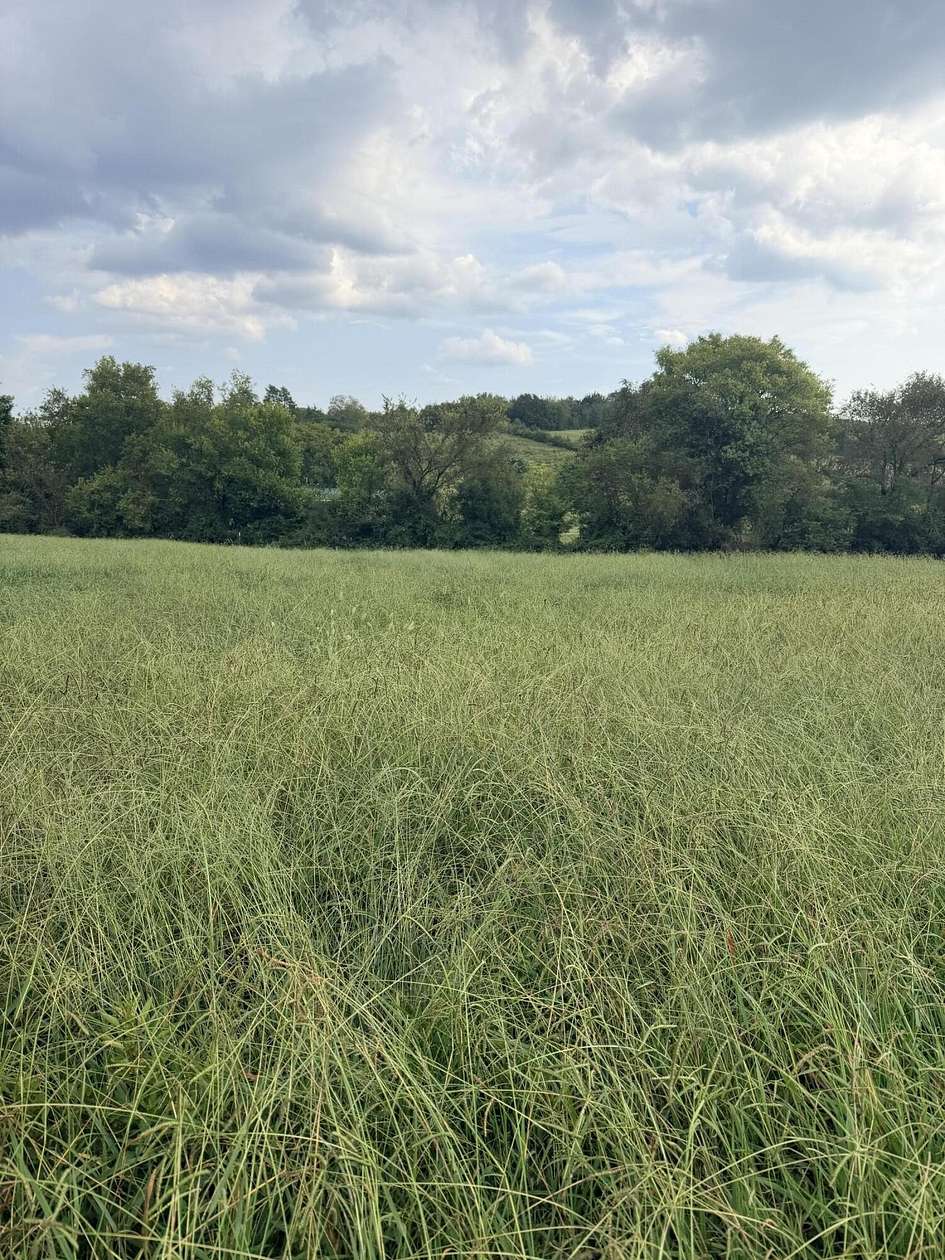 0.6 Acres of Residential Land for Sale in Morristown, Tennessee