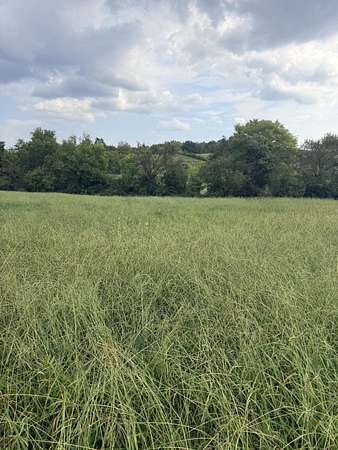 0.6 Acres of Residential Land for Sale in Morristown, Tennessee