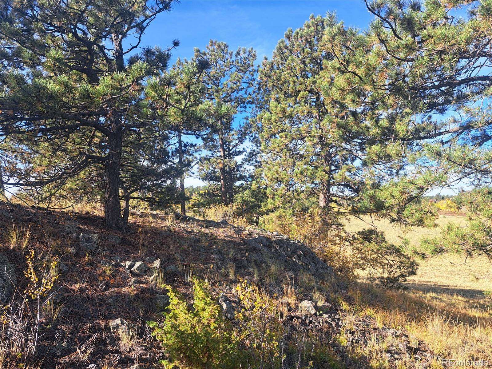 8 Acres of Residential Land for Sale in Lake George, Colorado