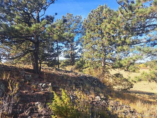 8 Acres of Residential Land for Sale in Lake George, Colorado
