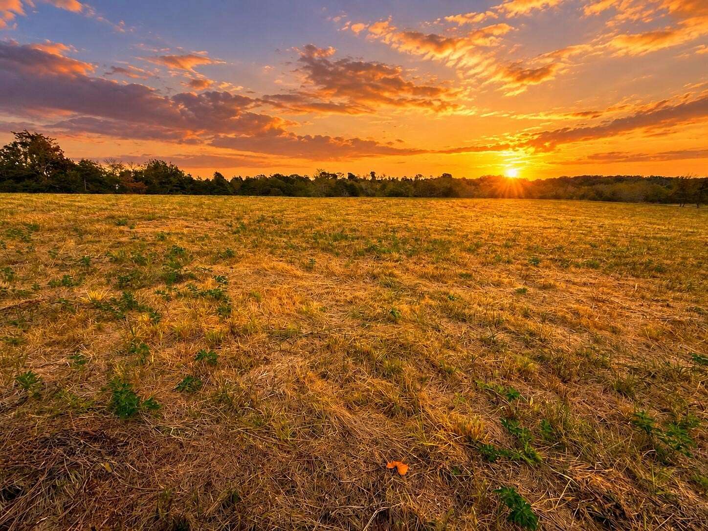 11 Acres of Recreational & Residential Land for Sale in Eagle Rock, Missouri