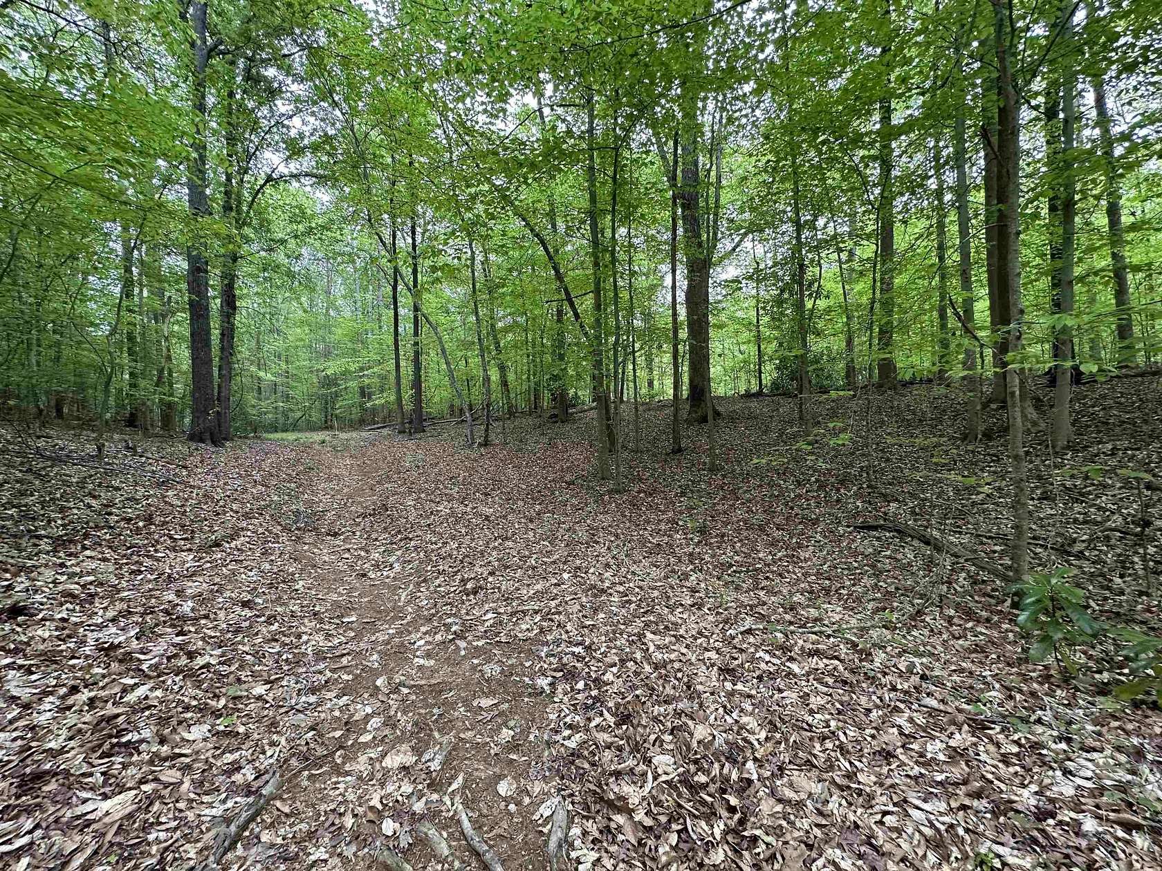 22.4 Acres of Recreational & Residential Land for Sale in Gaffney, South Carolina