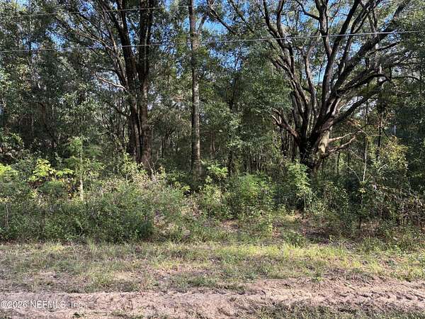 0.72 Acres of Land for Sale in Interlachen, Florida