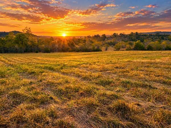 16 Acres of Recreational Land for Sale in Eagle Rock, Missouri