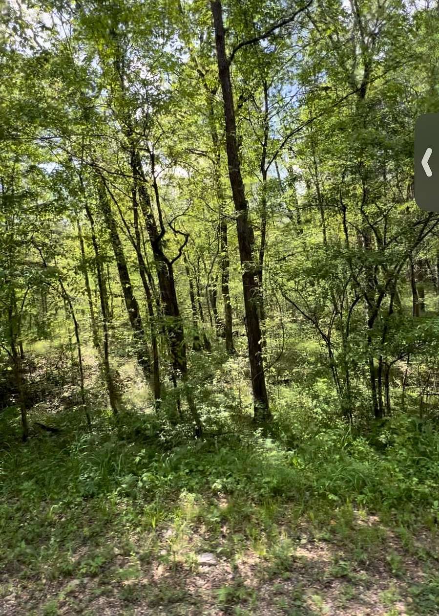 10 Acres of Residential Land for Sale in Clifton, Tennessee