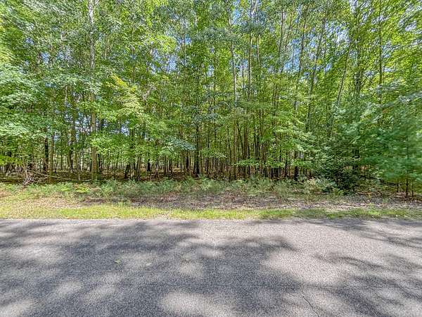 1.2 Acres of Residential Land for Sale in Canadian Lakes, Michigan