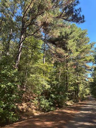 21.5 Acres of Agricultural Land for Sale in Canton, Mississippi