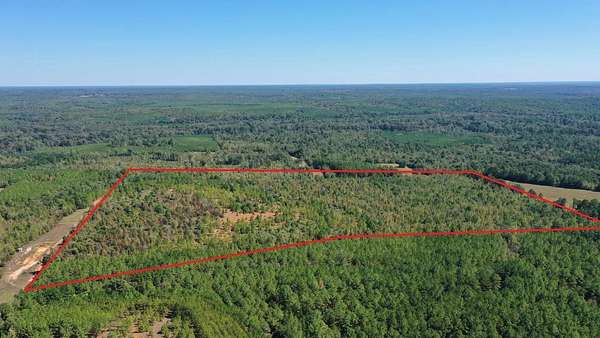 60 Acres of Recreational & Residential Land for Sale in Jefferson, Texas