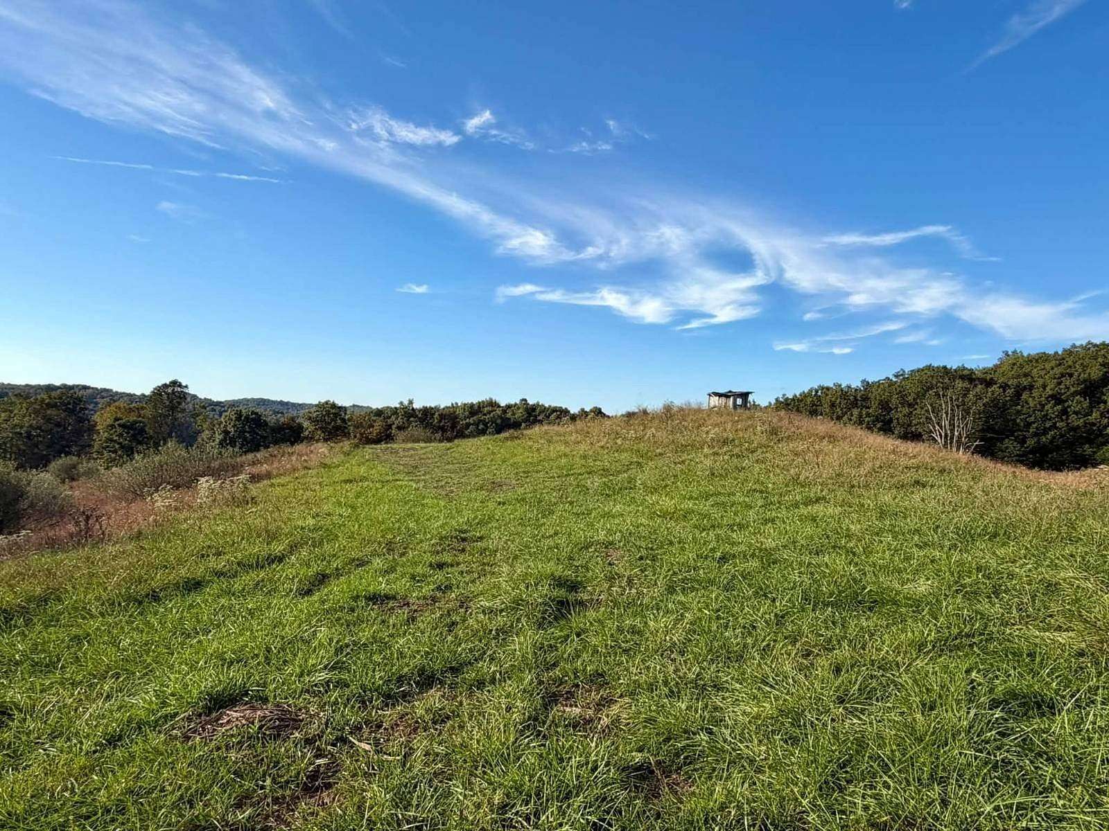 264 Acres of Recreational & Residential Land for Sale in Spencer, West Virginia