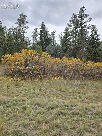 0.96 Acres of Residential Land for Sale in Larkspur, Colorado